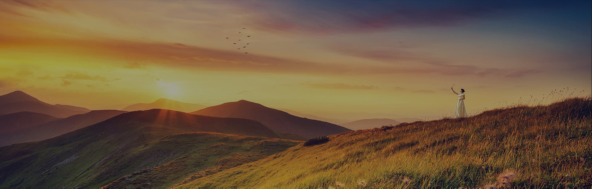 三月九品牌营销咨询