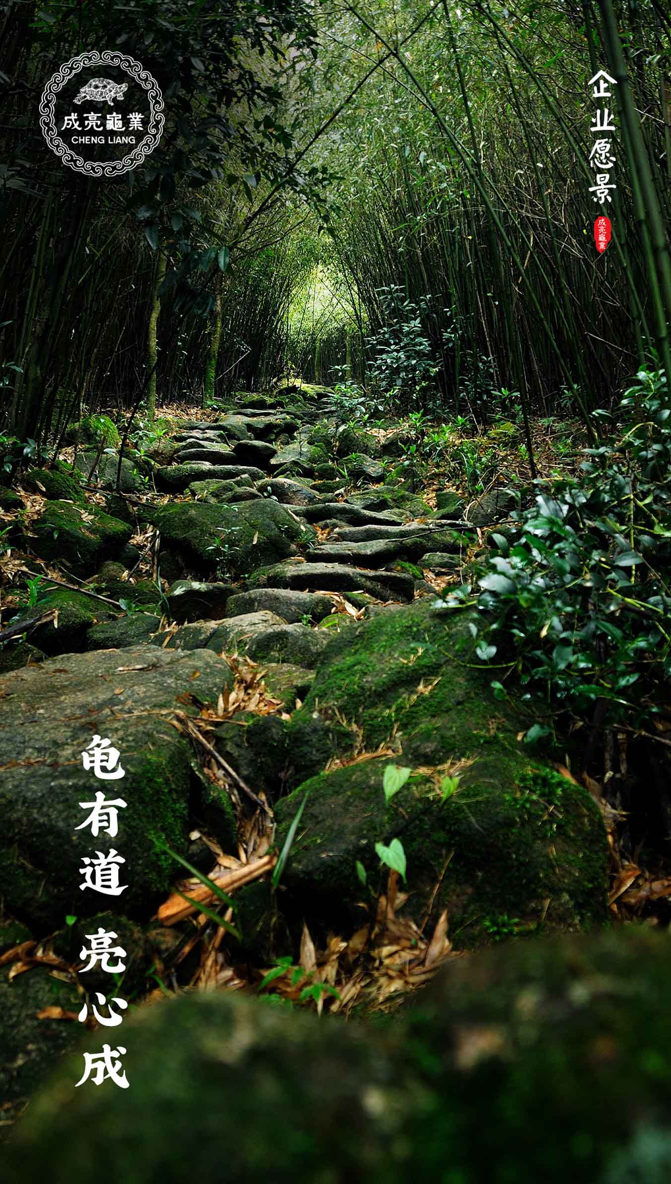 成亮龟业-产品海报-网络用图03.jpg