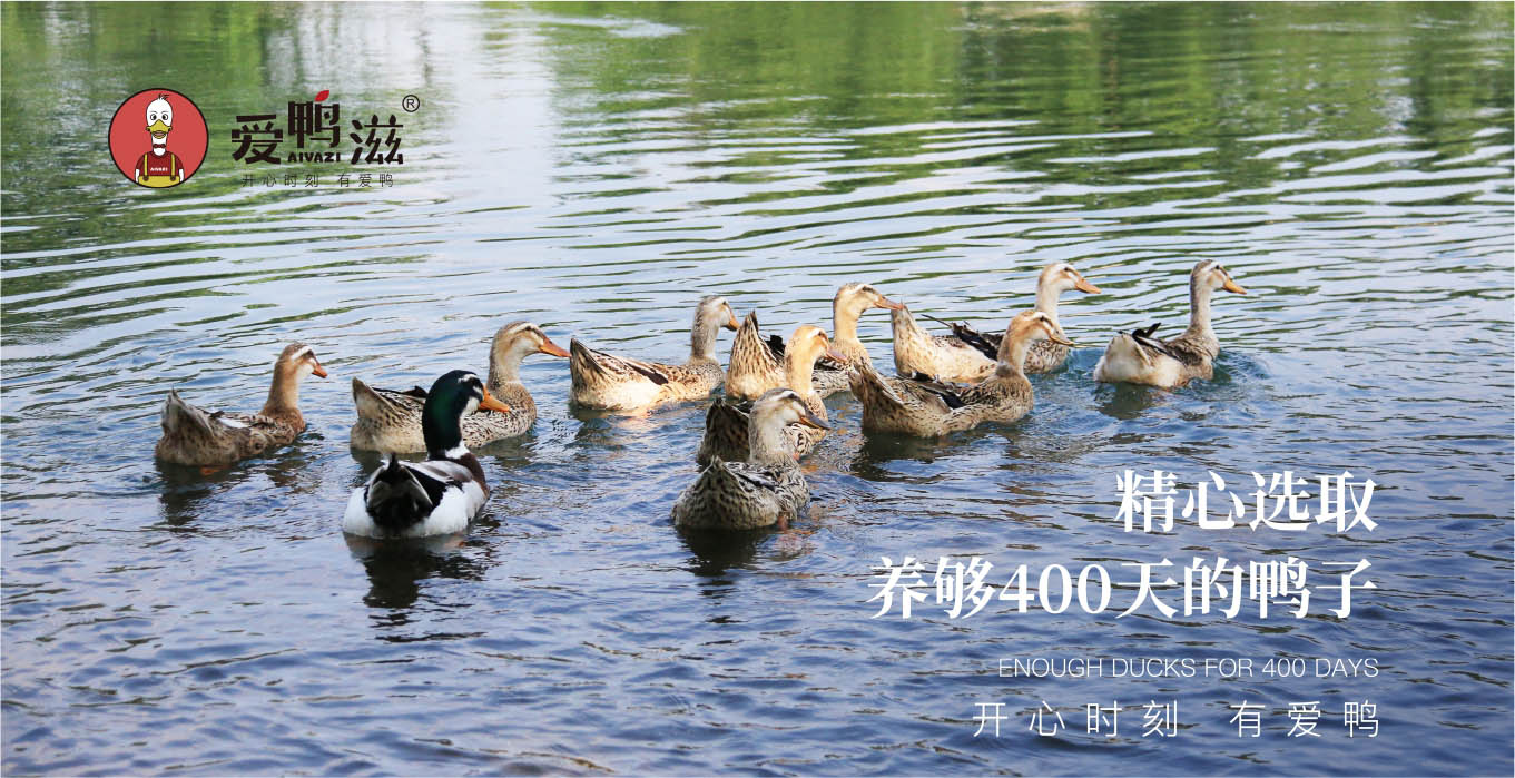 详情页-2.jpg