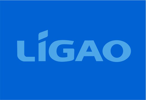 三月九 | 力高品牌升级全案设计