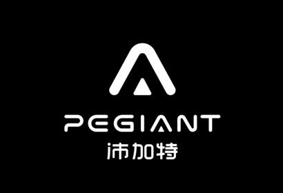 三月九&深圳柏顿｜崧盛股份-沛加特品牌升级营销策划全案